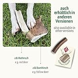ChronoBalance® Geweih Kaustange M (halbiert) für Hunde, 100% Hirschgeweih als langanhaltendes Hundespielzeug, Hundeleckerli, Zahnpflege, Kauknochen, Kaugeweih, Hundeknochen, aus Abwurfstangen - 7