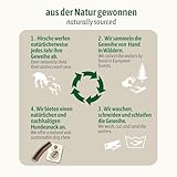 ChronoBalance® Geweih Kaustange M (halbiert) für Hunde, 100% Hirschgeweih als langanhaltendes Hundespielzeug, Hundeleckerli, Zahnpflege, Kauknochen, Kaugeweih, Hundeknochen, aus Abwurfstangen - 8