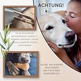 PetLove Kauholz für Hunde aus Olivenholz • Holzknochen als Hundespielzeug • Kauknochen als Zahnpflege & Kauspielzeug für Hund • Größe: M (100-220g) - 7