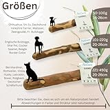 PetLove Kauholz für Hunde aus Olivenholz • Holzknochen als Hundespielzeug • Kauknochen als Zahnpflege & Kauspielzeug für Hund • Größe: M (100-220g) - 4