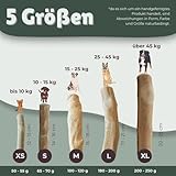 BV Petcare | Kaffeeholz Kaustab, Kau Knochen aus Kaffeeholz, natürliches Hundespielzeug für Hunde – XS – für Hunde bis 10 kg - 2