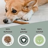 BV Petcare | Kaffeeholz Kaustab, Kau Knochen aus Kaffeeholz, natürliches Hundespielzeug für Hunde – XS – für Hunde bis 10 kg - 3
