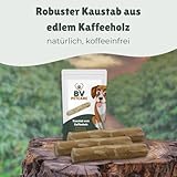 BV Petcare | Kaffeeholz Kaustab, Kau Knochen aus Kaffeeholz, natürliches Hundespielzeug für Hunde – XS – für Hunde bis 10 kg - 4