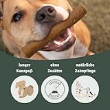 BV Petcare | Kaffeeholz Kaustab, Kau Knochen aus Kaffeeholz, natürliches Hundespielzeug für Hunde – XS – für Hunde bis 10 kg - 5