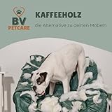 BV Petcare | Kaffeeholz Kaustab, Kau Knochen aus Kaffeeholz, natürliches Hundespielzeug für Hunde – XS – für Hunde bis 10 kg - 6