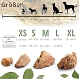 PetLove Kauwurzel für Hunde aus Baumheide • Natürliches Kauspielzeug hypoallergen • Kauknochen ohne Zusätze, ohne Kalorien, ohne Chemie • Größe: M (250-449g) - 4