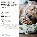 PetLove Kauwurzel für Hunde aus Baumheide • Natürliches Kauspielzeug hypoallergen • Kauknochen ohne Zusätze, ohne Kalorien, ohne Chemie • Größe: M (250-449g) - 5