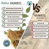 PetLove Kauwurzel für Hunde aus Baumheide • Natürliches Kauspielzeug hypoallergen • Kauknochen ohne Zusätze, ohne Kalorien, ohne Chemie • Größe: M (250-449g) - 6