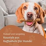 Wildfang Hundekaustab aus Arabica-Kaffeeholz Gr. M - 3