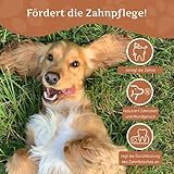 Wildfang Hundekaustab aus Arabica-Kaffeeholz Gr. M - 4
