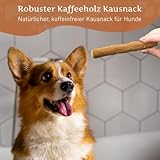Wildfang Hundekaustab aus Arabica-Kaffeeholz Gr. M - 7