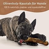 Wildfang® Olivenholz Kauholz für Hunde | Holzknochen Olivenholz | natürliches Kauspielzeug aus Olivenholz für Hunde | Zahnpflege | langlebiges Spielzeug für Hunde – L (221-450g) für Hunde ab 25 kg - 2