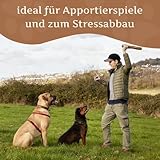 Wildfang® Olivenholz Kauholz für Hunde | Holzknochen Olivenholz | natürliches Kauspielzeug aus Olivenholz für Hunde | Zahnpflege | langlebiges Spielzeug für Hunde – L (221-450g) für Hunde ab 25 kg - 4