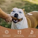 Wildfang® Olivenholz Kauholz für Hunde | Holzknochen Olivenholz | natürliches Kauspielzeug aus Olivenholz für Hunde | Zahnpflege | langlebiges Spielzeug für Hunde – L (221-450g) für Hunde ab 25 kg - 5