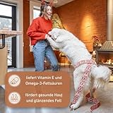 Wildfang® Olivenholz Kauholz für Hunde | Holzknochen Olivenholz | natürliches Kauspielzeug aus Olivenholz für Hunde | Zahnpflege | langlebiges Spielzeug für Hunde – L (221-450g) für Hunde ab 25 kg - 6