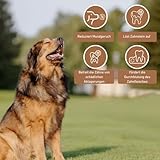 Wildfang® Olivenholz Kauholz für Hunde | Holzknochen Olivenholz | natürliches Kauspielzeug aus Olivenholz für Hunde | Zahnpflege | langlebiges Spielzeug für Hunde – L (221-450g) für Hunde ab 25 kg - 7