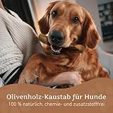 Wildfang® Olivenholz Kauholz für Hunde | Holzknochen Olivenholz | natürliches Kauspielzeug aus Olivenholz für Hunde | Zahnpflege | langlebiges Spielzeug für Hunde – L (221-450g) für Hunde ab 25 kg - 9