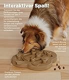 Outward Hound Nina Ottosson Dog Hide N‘ Slide – Interaktives Hundespielzeug für Leckerlis – Hellbraun - 3