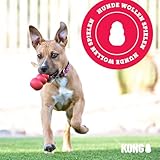 KONG – Flyer – Robustes Hundefrisbee aus Naturkautschuk – Für Große Hunde - 8