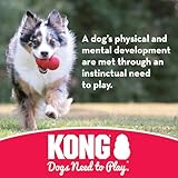 KONG – Puppy Flyer – Kautschuk zur Zahnungshilfe, Hundefrisbee (Farbvar.) – Für Kleine Welpen - 7