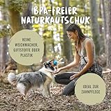 Rudelkönig Hundeball aus Naturkautschuk – Zwei Bälle mit 6,5cm Ø – Nahezu unzerstörbares Hundespielzeug inklusive praktischer Aufbewahrungstasche - 3